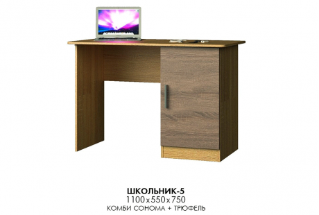 Письменный стол Эверест Школьник-5